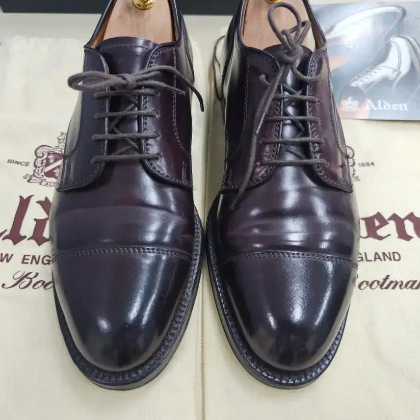 [BUNJANG] Alden 2160 7D Shell Cordovan 