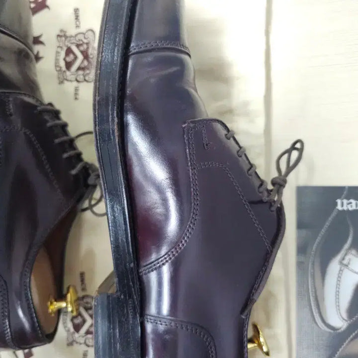 [BUNJANG] Alden 2160 7D Shell Cordovan 