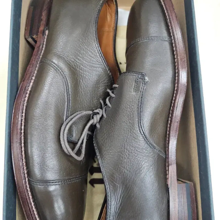 [BUNJANG] Alden 95721 Barrie Last Cap Toe Blucher / 알든 95721 캡토 더비 7D (250~255/샌프란시스코 별주)