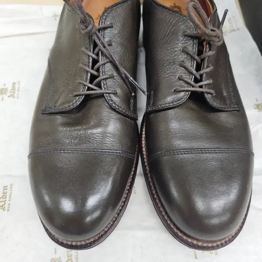 [BUNJANG] Alden 95721 Barrie Last Cap Toe Blucher / 알든 95721 캡토 더비 7D (250~255/샌프란시스코 별주)