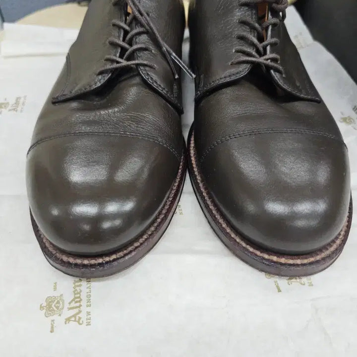 [BUNJANG] Alden 95721 Barrie Last Cap Toe Blucher / 알든 95721 캡토 더비 7D (250~255/샌프란시스코 별주)