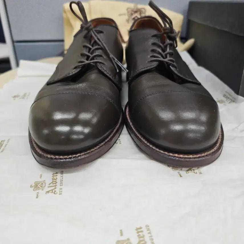 [BUNJANG] Alden 95721 Barrie Last Cap Toe Blucher / 알든 95721 캡토 더비 7D (250~255/샌프란시스코 별주)