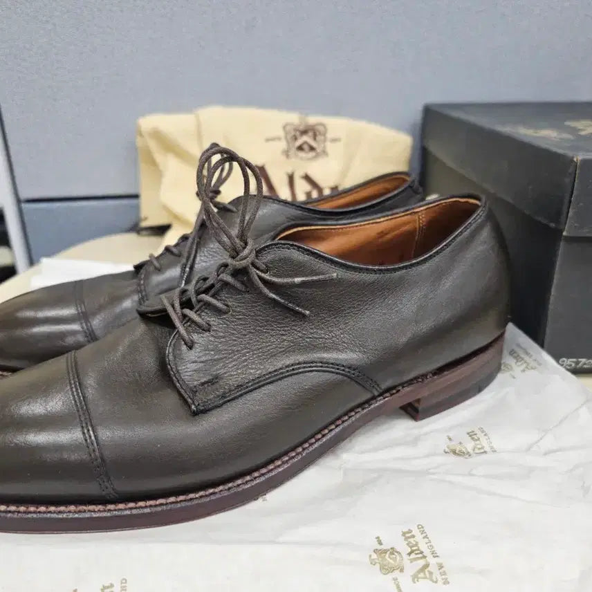 [BUNJANG] Alden 95721 Barrie Last Cap Toe Blucher / 알든 95721 캡토 더비 7D (250~255/샌프란시스코 별주)