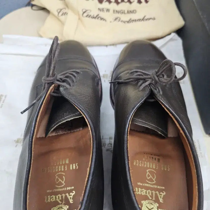 [BUNJANG] Alden 95721 Barrie Last Cap Toe Blucher / 알든 95721 캡토 더비 7D (250~255/샌프란시스코 별주)
