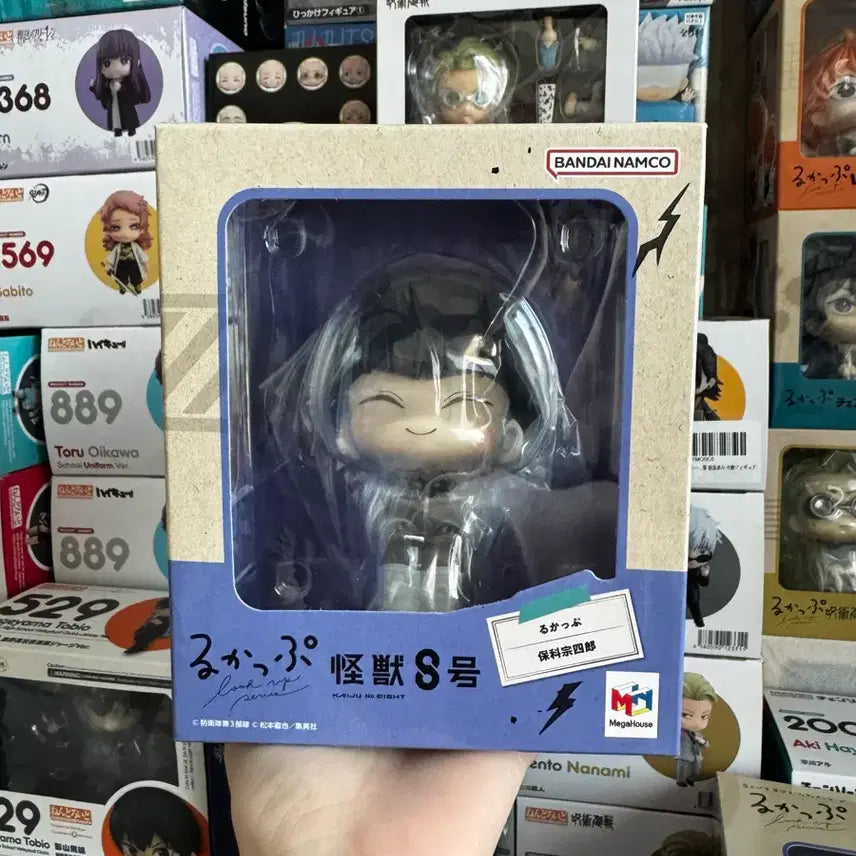 [SOLD OUT] 과수8호 호시나 룩업 재판(미개봉,방석불포)