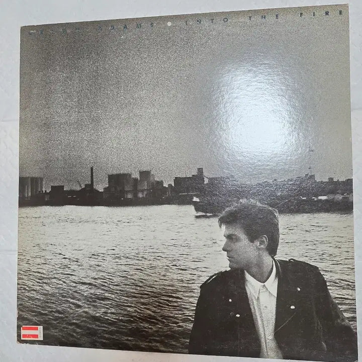 [BUNJANG] Bryan Adams Into The Fire LP / 브라이언 아담스 Into The Fire LP