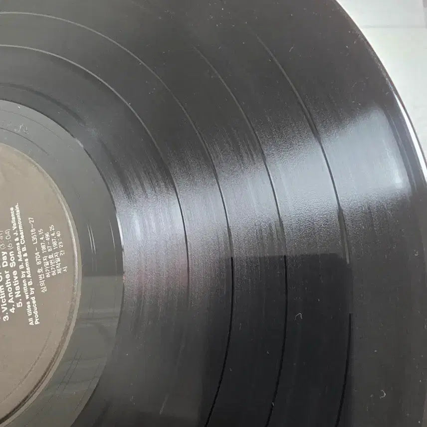 [BUNJANG] Bryan Adams Into The Fire LP / 브라이언 아담스 Into The Fire LP