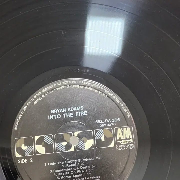 [BUNJANG] Bryan Adams Into The Fire LP / 브라이언 아담스 Into The Fire LP