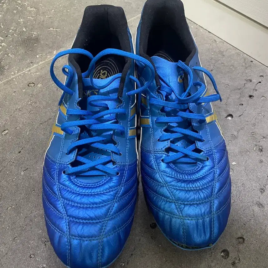 [BUNJANG] Asics DS Light - Size 275 - Soccer Cleats / 아식스 ds light 275