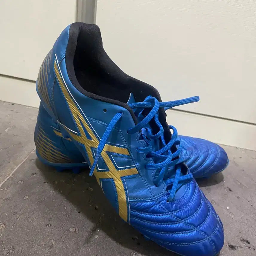 [BUNJANG] Asics DS Light - Size 275 - Soccer Cleats / 아식스 ds light 275