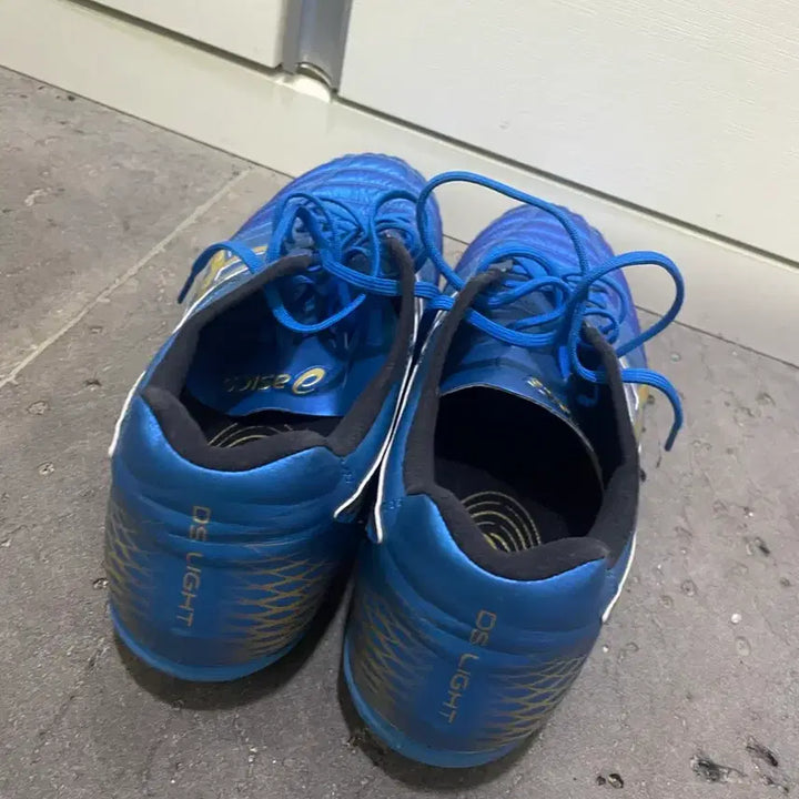 [BUNJANG] Asics DS Light - Size 275 - Soccer Cleats / 아식스 ds light 275