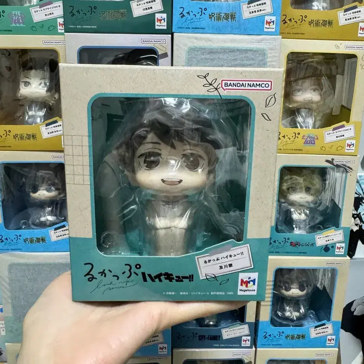 [SOLD OUT] 오이카와 카오루 교복 버전 룩업 재판(미개봉,방석불포)
