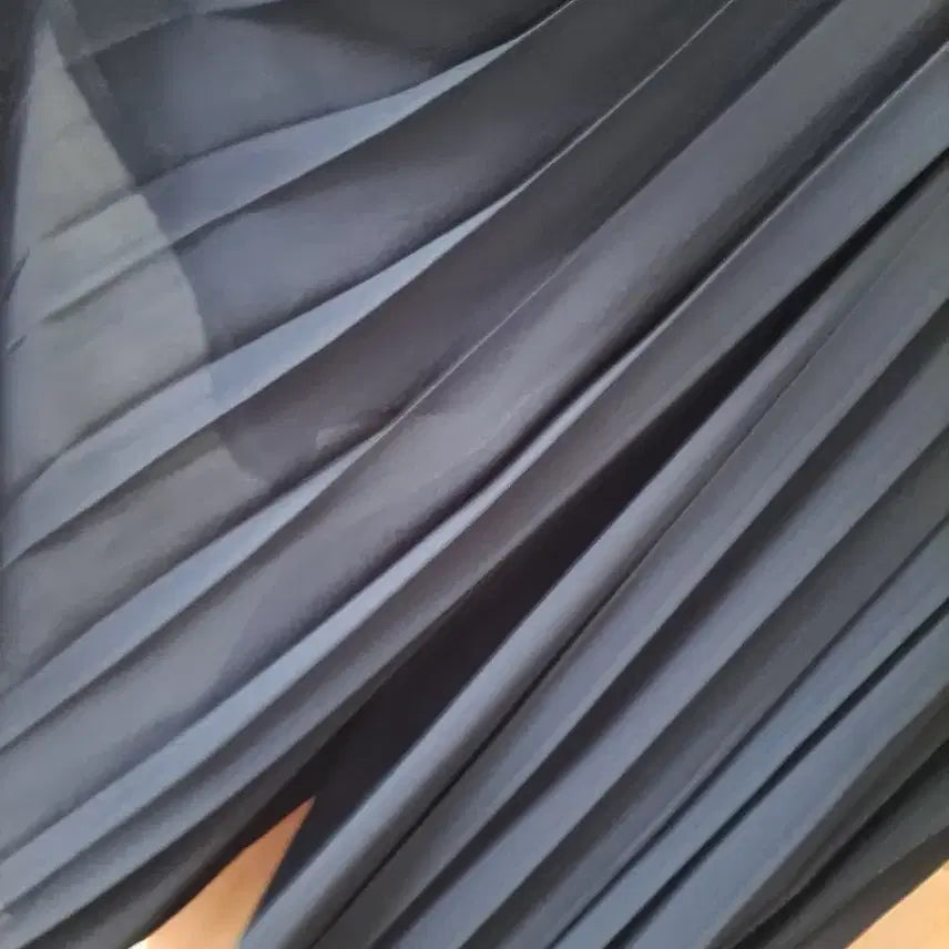 [BUNJANG] Chatelaine Chiffon Pleated Skirt Pants / 샤트렌 쉬폰 플리츠 스커트형 팬츠