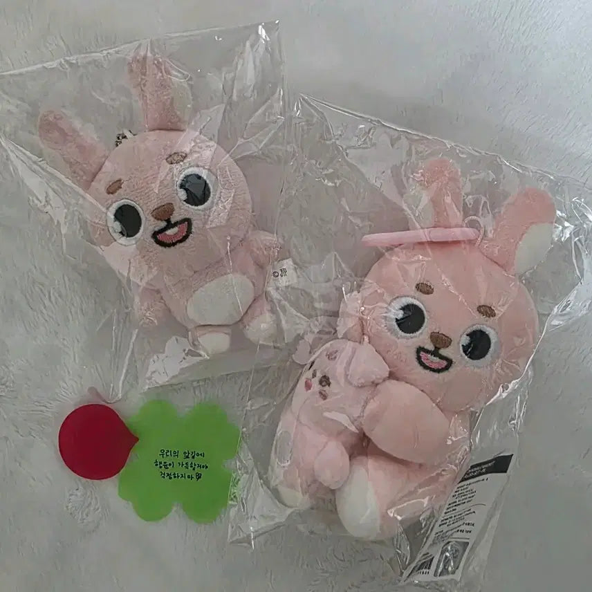 [BUNJANG] Day6 Japanese Baek-Charm Bundle Set / day6 데이식스 일본 백참 필 필끼 원필