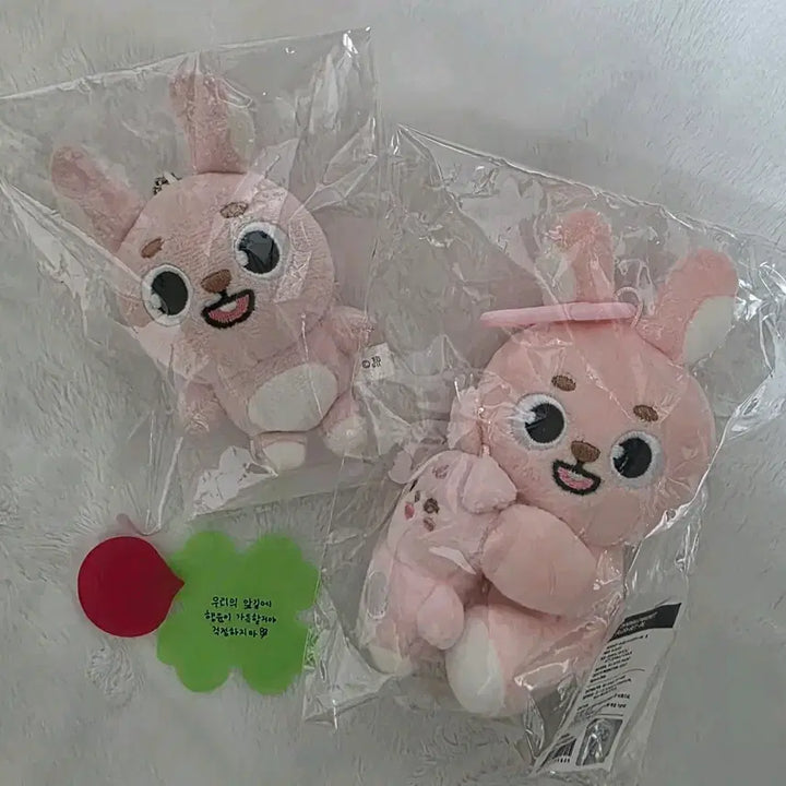 [BUNJANG] Day6 Japanese Baek-Charm Bundle Set / day6 데이식스 일본 백참 필 필끼 원필