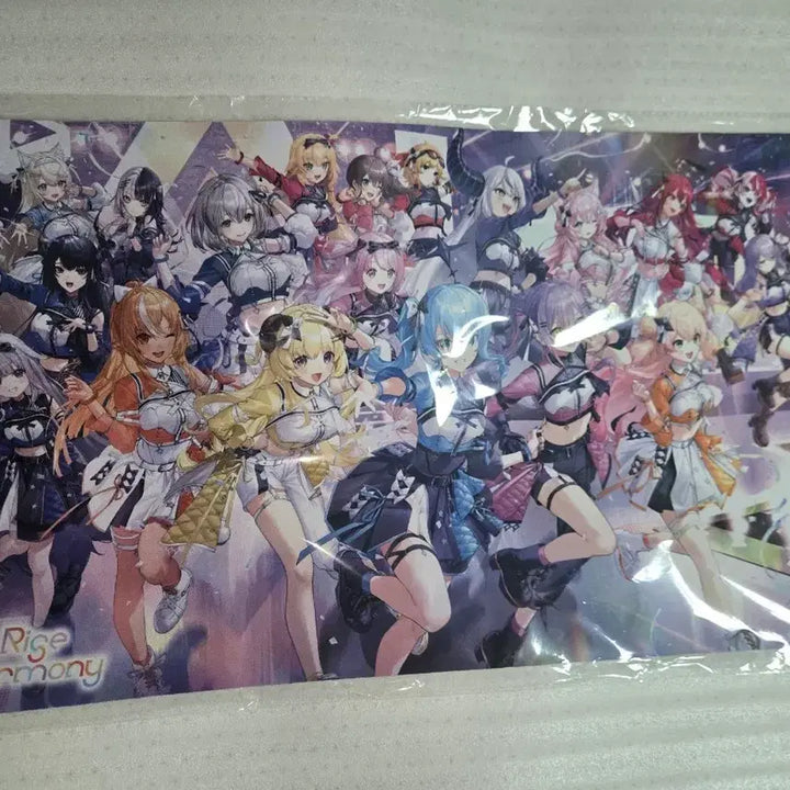 [BUNJANG] Hololive 6th FES Stage 1 Official Mat / 홀로라이브 6th FES Stage1 매트