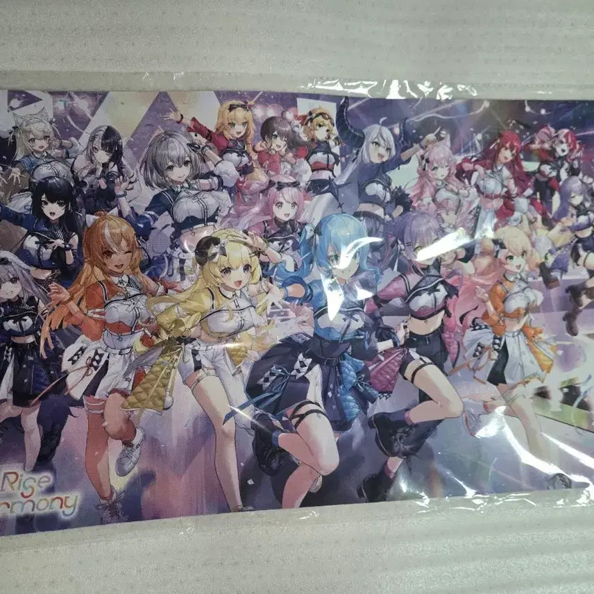 [BUNJANG] Hololive 6th FES Stage 1 Official Mat / 홀로라이브 6th FES Stage1 매트