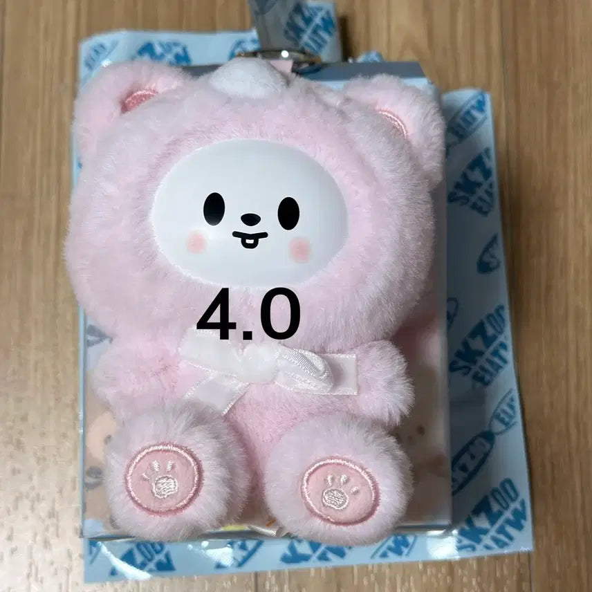 [SOLD OUT] 슼부부 짭부부 스키즈 팝업 시크릿 키링 리빗 양도