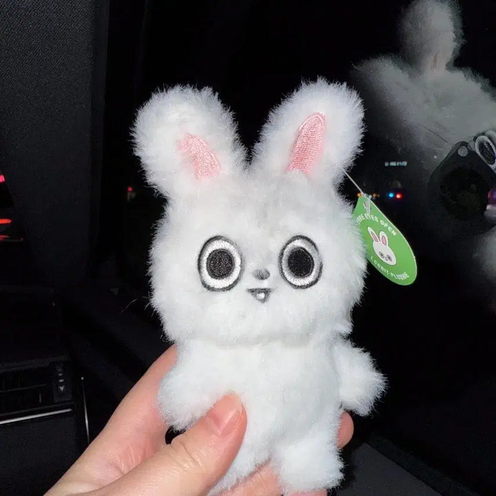 [BUNJANG] Stray Kids Lee Know Skzoo Ribbit Plush Toy / 현물 스키주 리빗 비공굿 인형 비공식굿즈 스트레이키즈 리노 스키즈