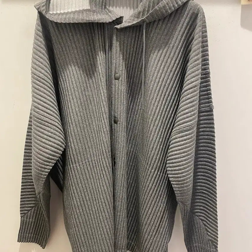 [BUNJANG] Homme Plissé Issey Miyake Hooded Zip-Up Jacket / 옴므플리세후드