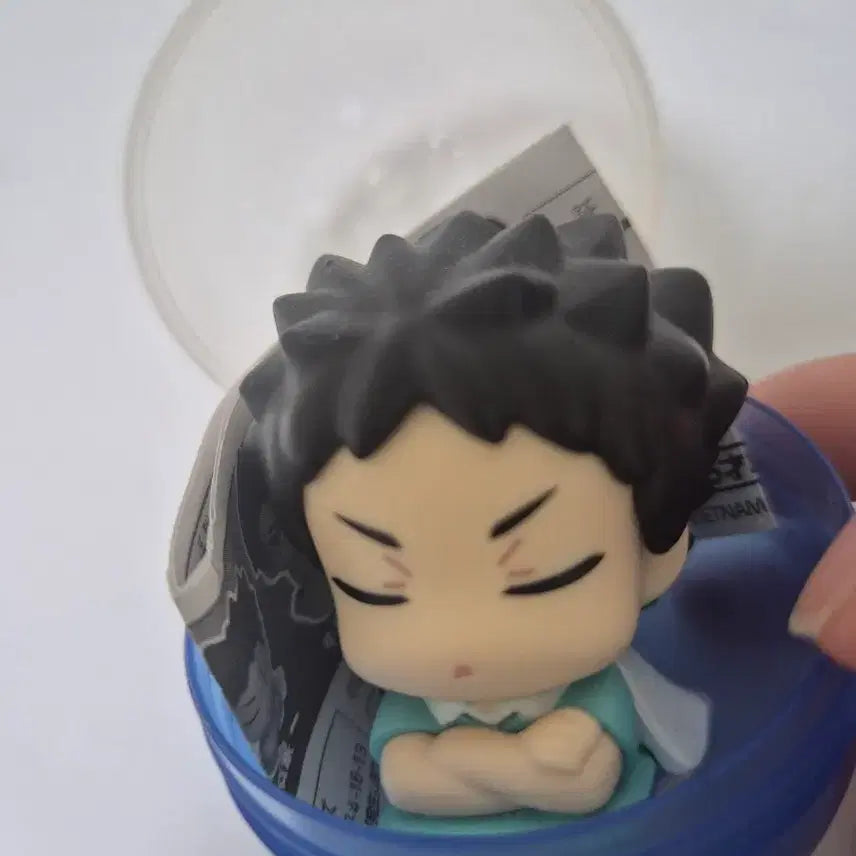 [BUNJANG] Haikyuu! Iwaizumi One-Emutan Gacha Figure / 하이큐 이와이즈미 오네무탄 가챠