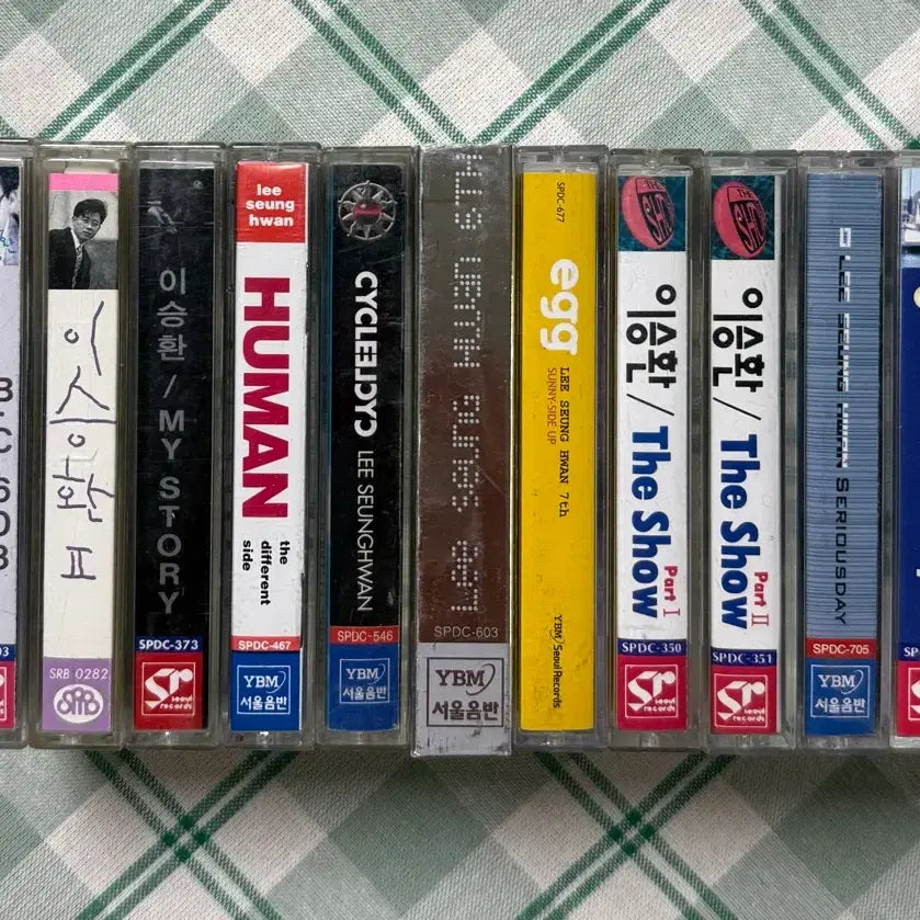 [BUNJANG] Lee Seung Hwan Cassette Tape Bundle (1st Album - 7th Album + Live) / 이승환 1집~7집 + 라이브,이오공감 등 카세트테이프 모음