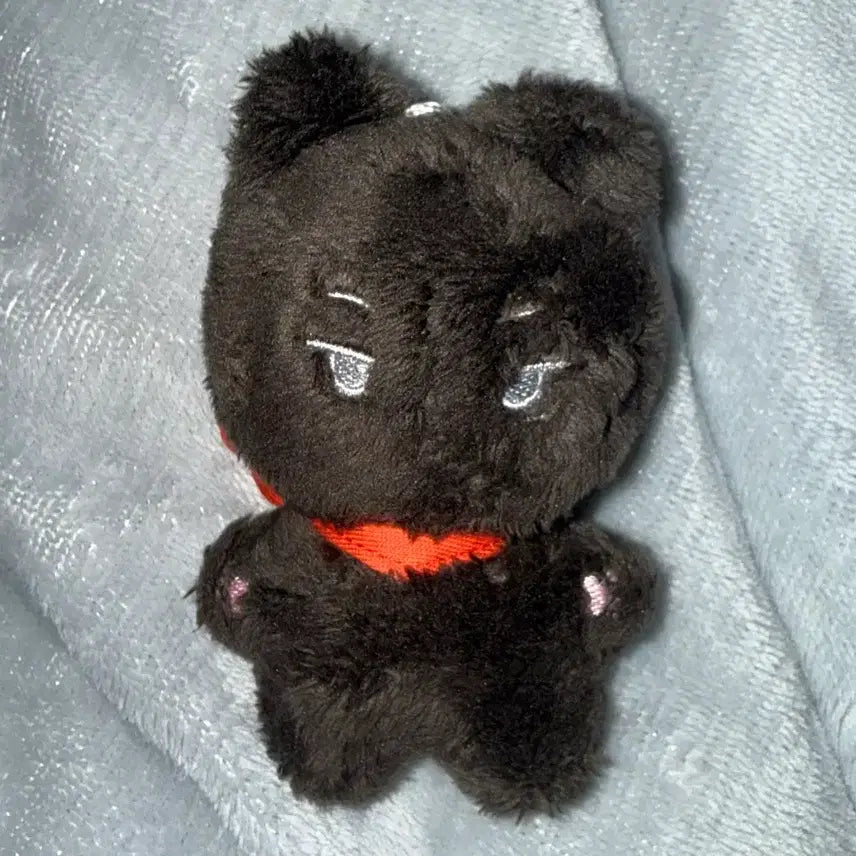 [BUNJANG] ENHYPEN Jay N-nyangs Season 1 Doll / 엔하이픈 제이 인형 엔냥즈 시즌1 쫑냥