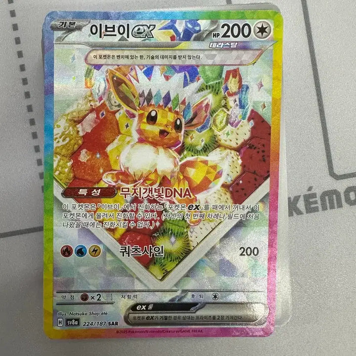 [SOLD OUT] 이브이 ex sar