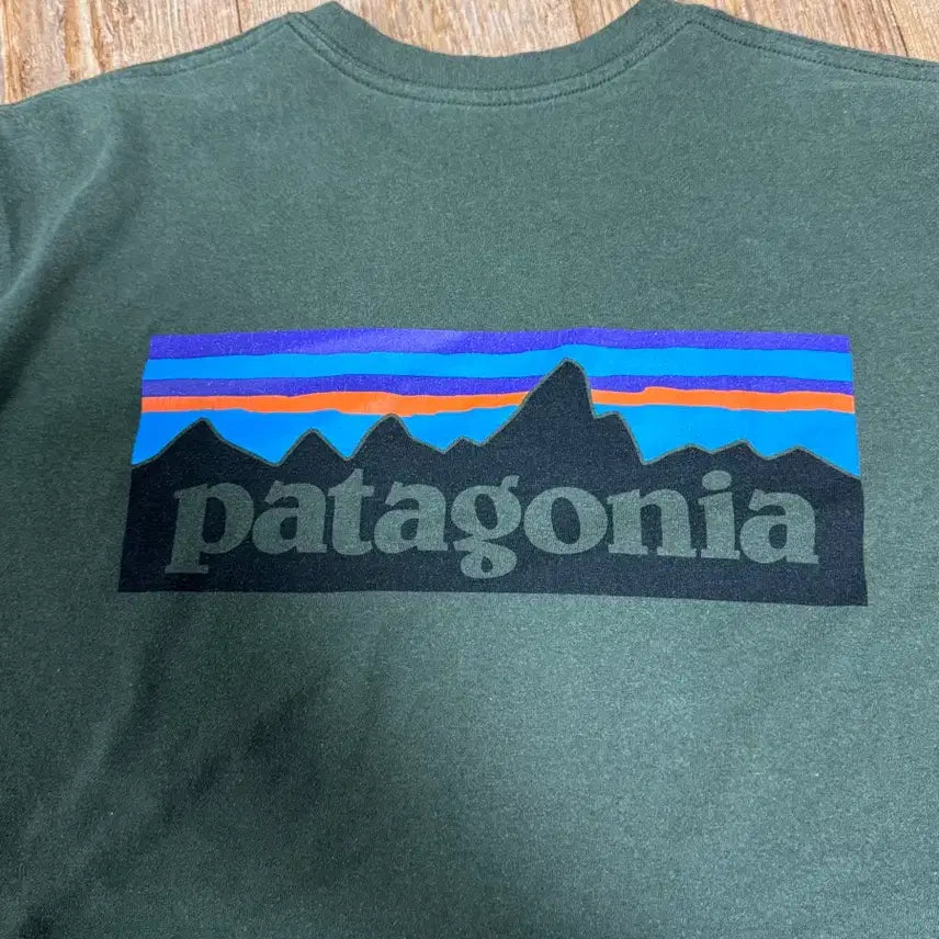 [BUNJANG] Patagonia P-6 Long Sleeve T-Shirt / 파타고니아 P-6 롱슬리브 긴팔 티셔츠 반팔 리스판서빌리티 폴로랄프로렌