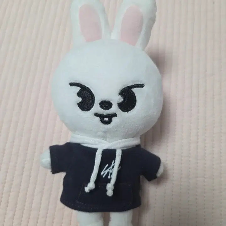 [BUNJANG] Stray Kids Lee Know Skzoo Ribbit Mini Photocard Holder / 스키즈 리노 스키주 리빗 미니 양도
