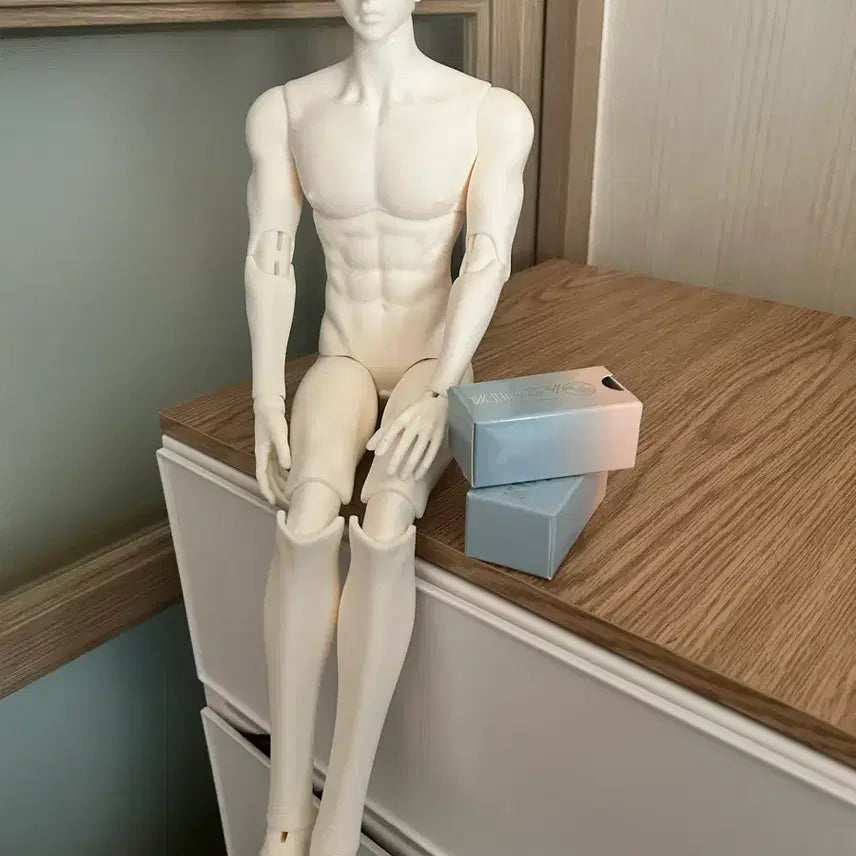 [BUNJANG] 75cm BJD Doll with 75 Head / Bjd 75헤드포함 바디