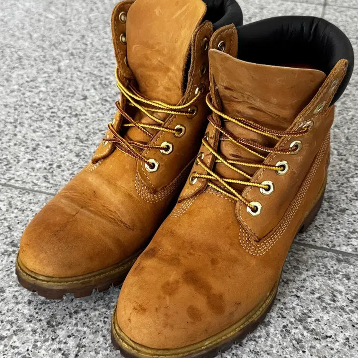 [BUNJANG] Timberland 6-Inch Waterproof Premium Boots / [255-260]버랜드 6인치 워터프루프 프리미엄 부츠 10061