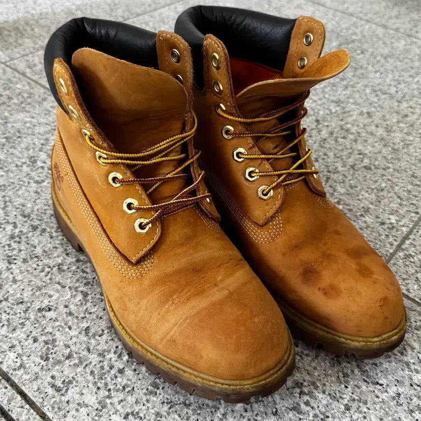 [BUNJANG] Timberland 6-Inch Waterproof Premium Boots / [255-260]버랜드 6인치 워터프루프 프리미엄 부츠 10061