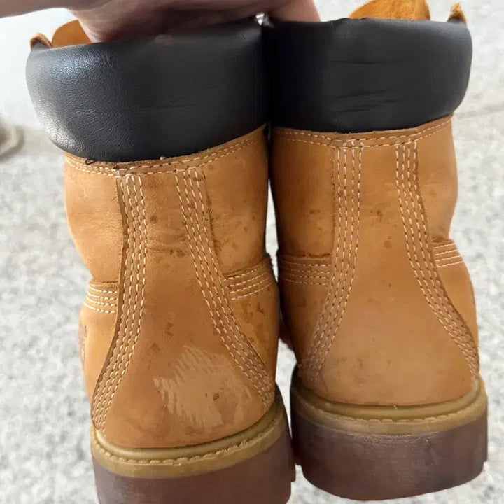 [BUNJANG] Timberland 6-Inch Waterproof Premium Boots / [255-260]버랜드 6인치 워터프루프 프리미엄 부츠 10061