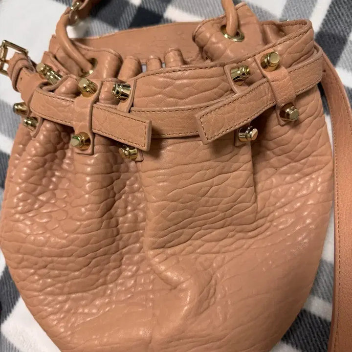 [BUNJANG] Alexander Wang Diego Bucket Bag / 알렉산더왕 디에고 버킷백