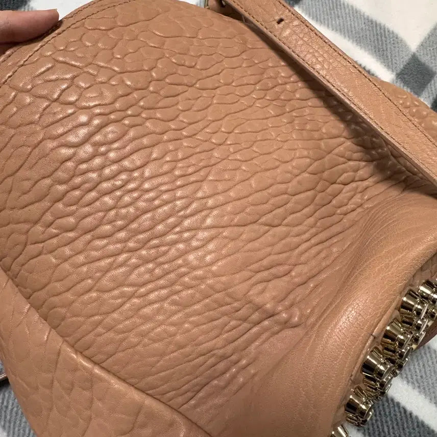 [BUNJANG] Alexander Wang Diego Bucket Bag / 알렉산더왕 디에고 버킷백