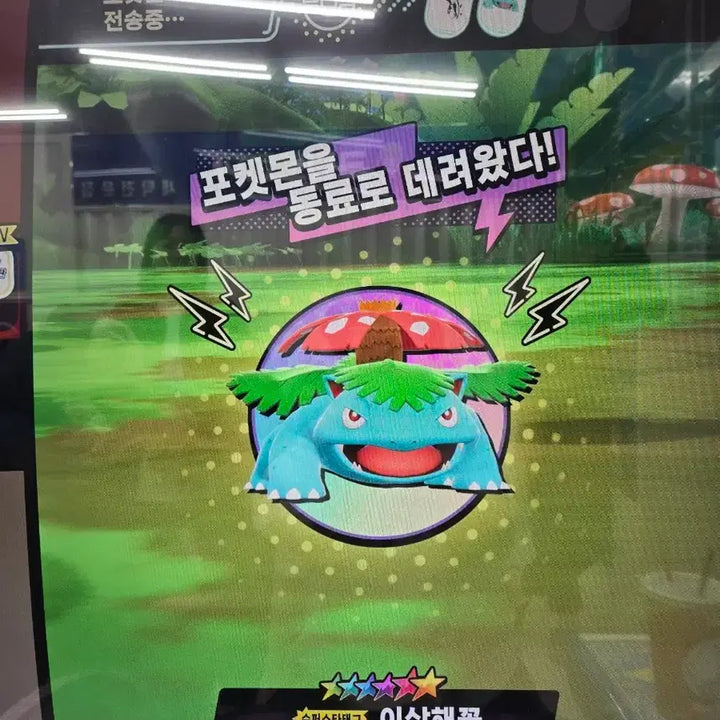 [BUNJANG] Pokemon Tag Team 6 Star Cards (Miraidon) / 포켓몬스터 태그스타 6성(미라이돈최저가)