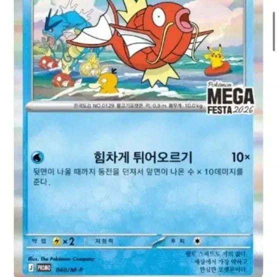 [BUNJANG] Magikarp Promo Card / 최고가 매입 포켓몬카드 잉어킹 프로모 카드