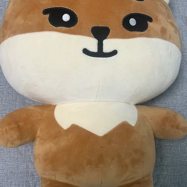 [BUNJANG] Giant Denimals Young K Day6 Doll / 포카포함!!! 데이식스 자이언트데니멀즈 영케이 케 인형