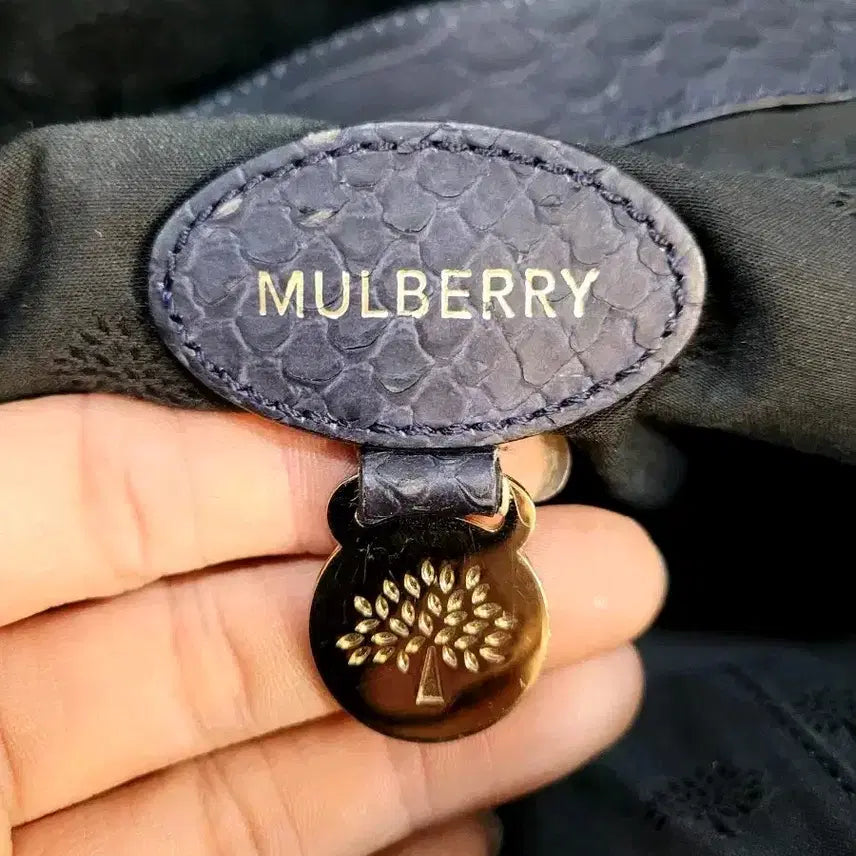 [BUNJANG] Mulberry Alexa Bag / 정품 멀버리 실키 스네이크 알렉사백