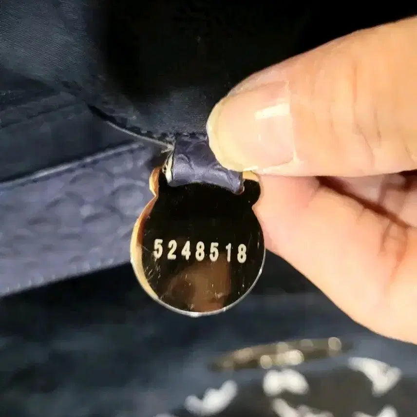 [BUNJANG] Mulberry Alexa Bag / 정품 멀버리 실키 스네이크 알렉사백