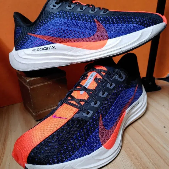 [BUNJANG] Nike Pegasus Plus Running Shoes / 나이키 페가수스 플러스(US7EU40사이즈250)