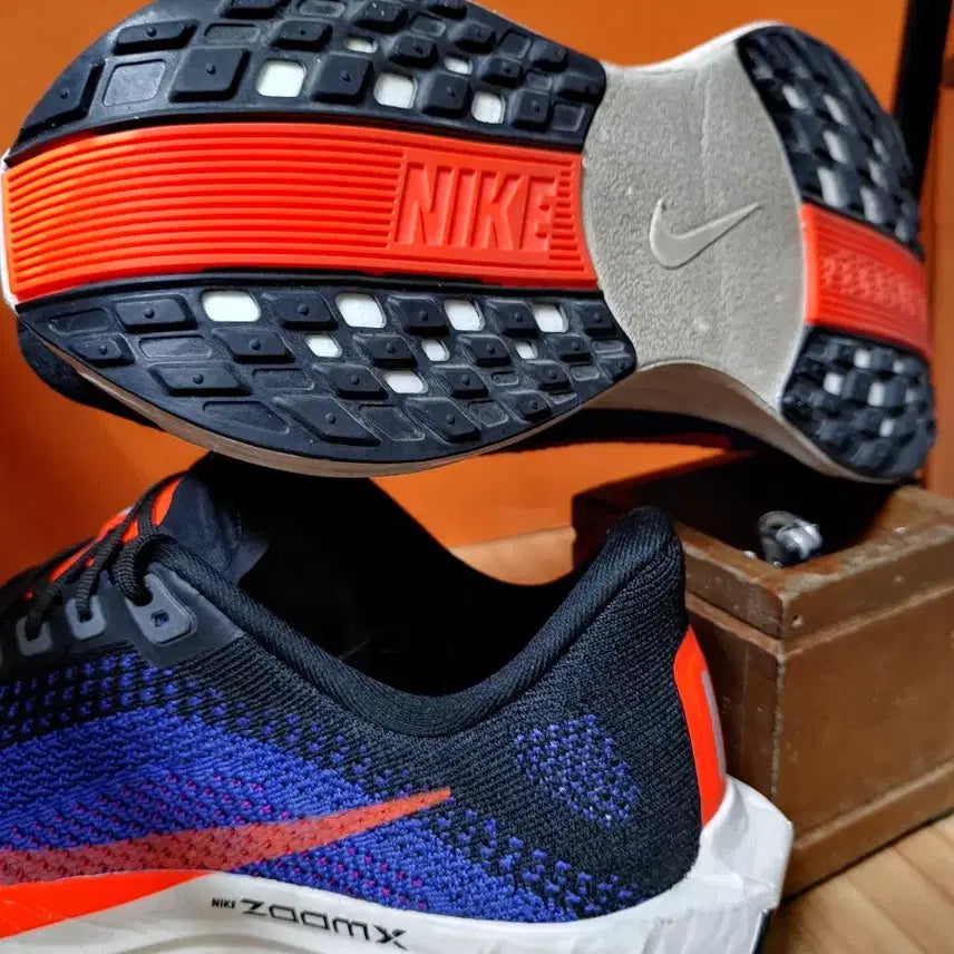 [BUNJANG] Nike Pegasus Plus Running Shoes / 나이키 페가수스 플러스(US7EU40사이즈250)