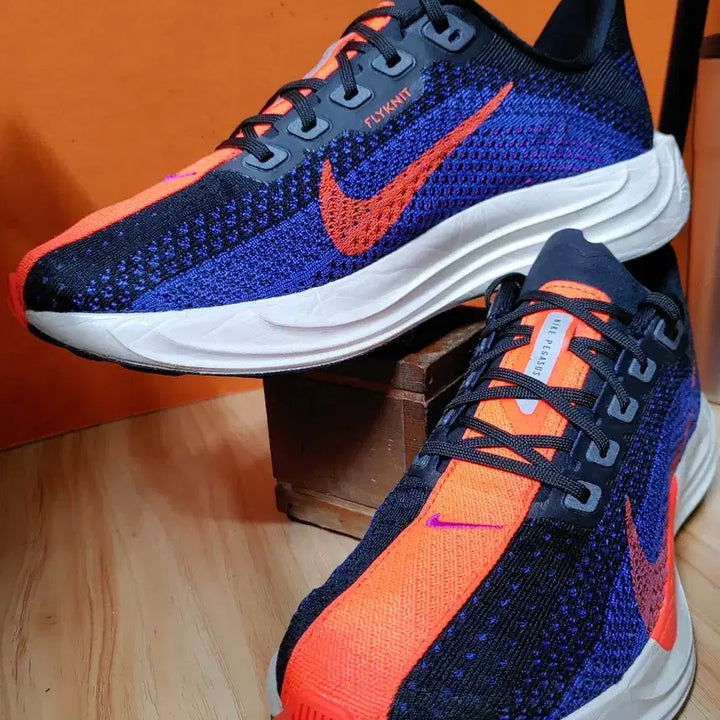 [BUNJANG] Nike Pegasus Plus Running Shoes / 나이키 페가수스 플러스(US7EU40사이즈250)