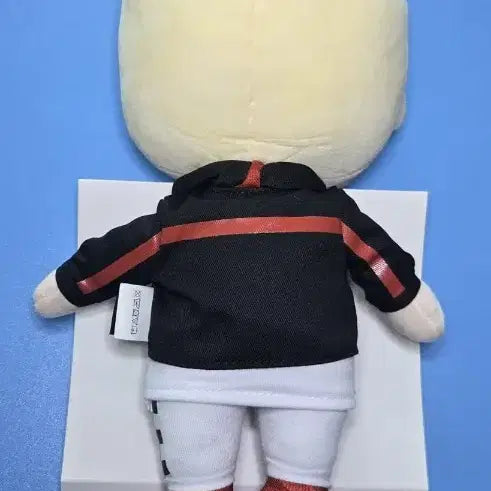 [BUNJANG] BTS Jin Plush Doll / 방탄소년단 진 플러시돌 정품 새상품 인형