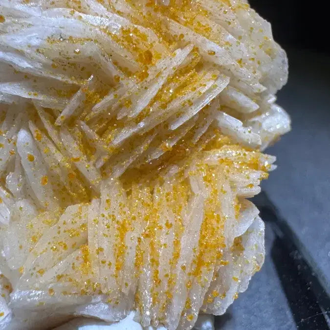 [BUNJANG] Natural Barite with Vanadinite Specimen / 중정석 바나듐납 공생 표본