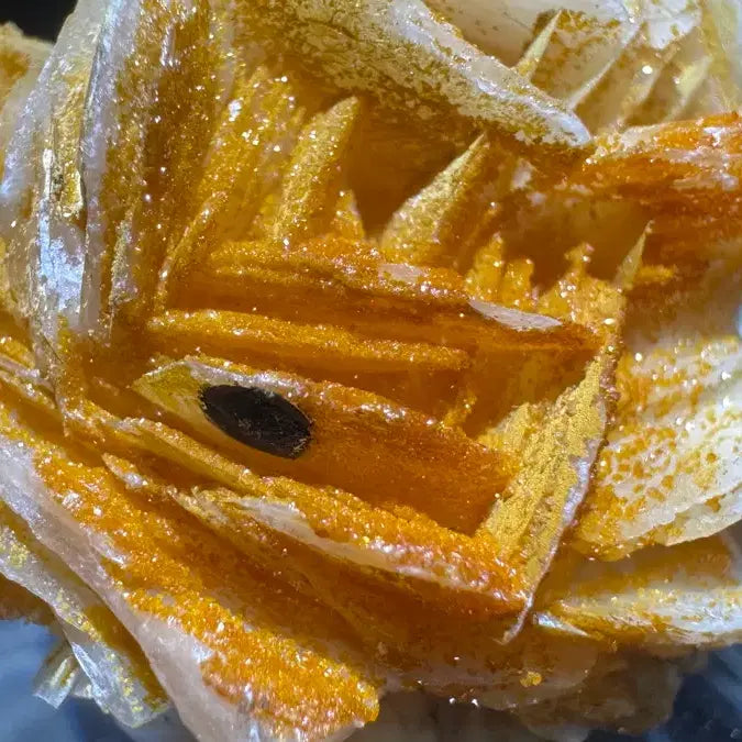 [BUNJANG] Barite and Vanadinite Specimen / 중정석 바나듐납 공생 표본