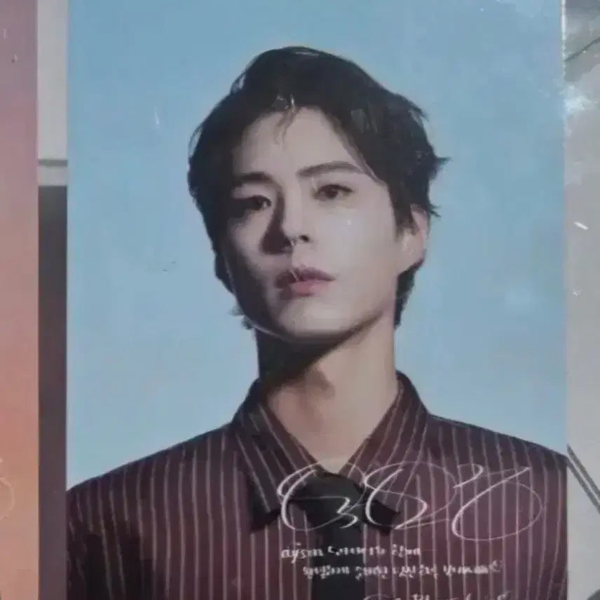 [BUNJANG] Dyson Park Bo Gum Photocard Set / (미개봉) 다이슨 박보검 포토카드 세트