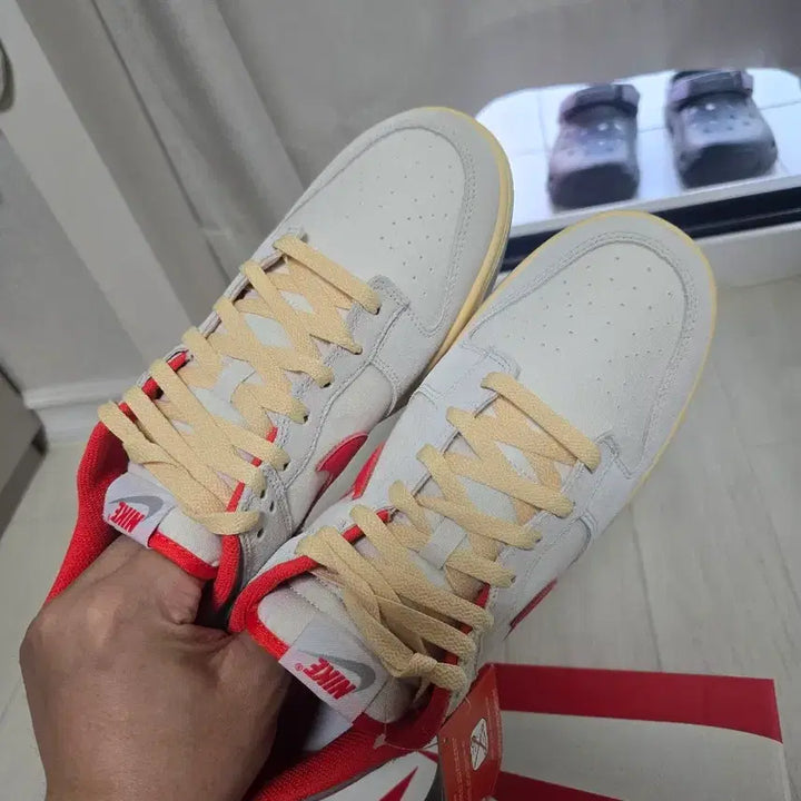 [BUNJANG] Nike Dunk 300 Size Sneakers / 나이키 덩크 300사이즈