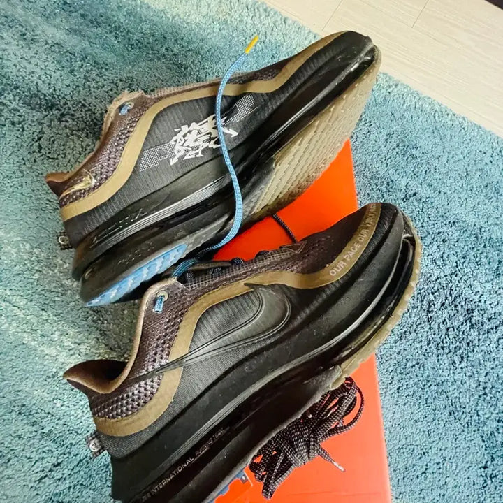 [BUNJANG] Nike Pegasus Premium International Running Shoes / 나이키 페가수스 프리미엄 인터네셔널 260